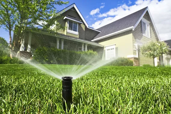 A pop-up lawn sprinkler spraying water across a green lawn in front of a house — landscaping insurance in Texas.